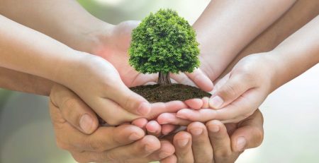 medioambiente y familia